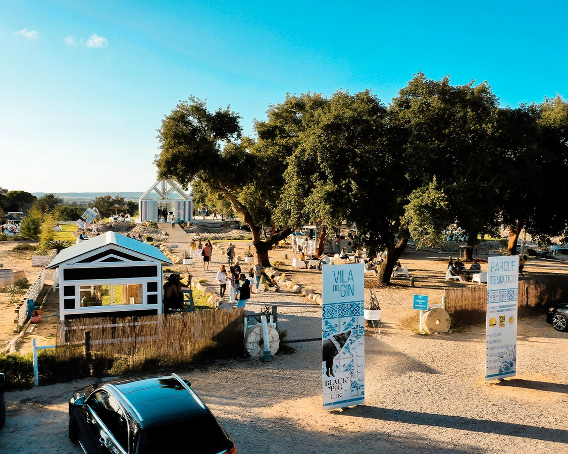 Black Pig Gin Farm em Porto Côvo — gin artesanal, cocktails e animais de quinta